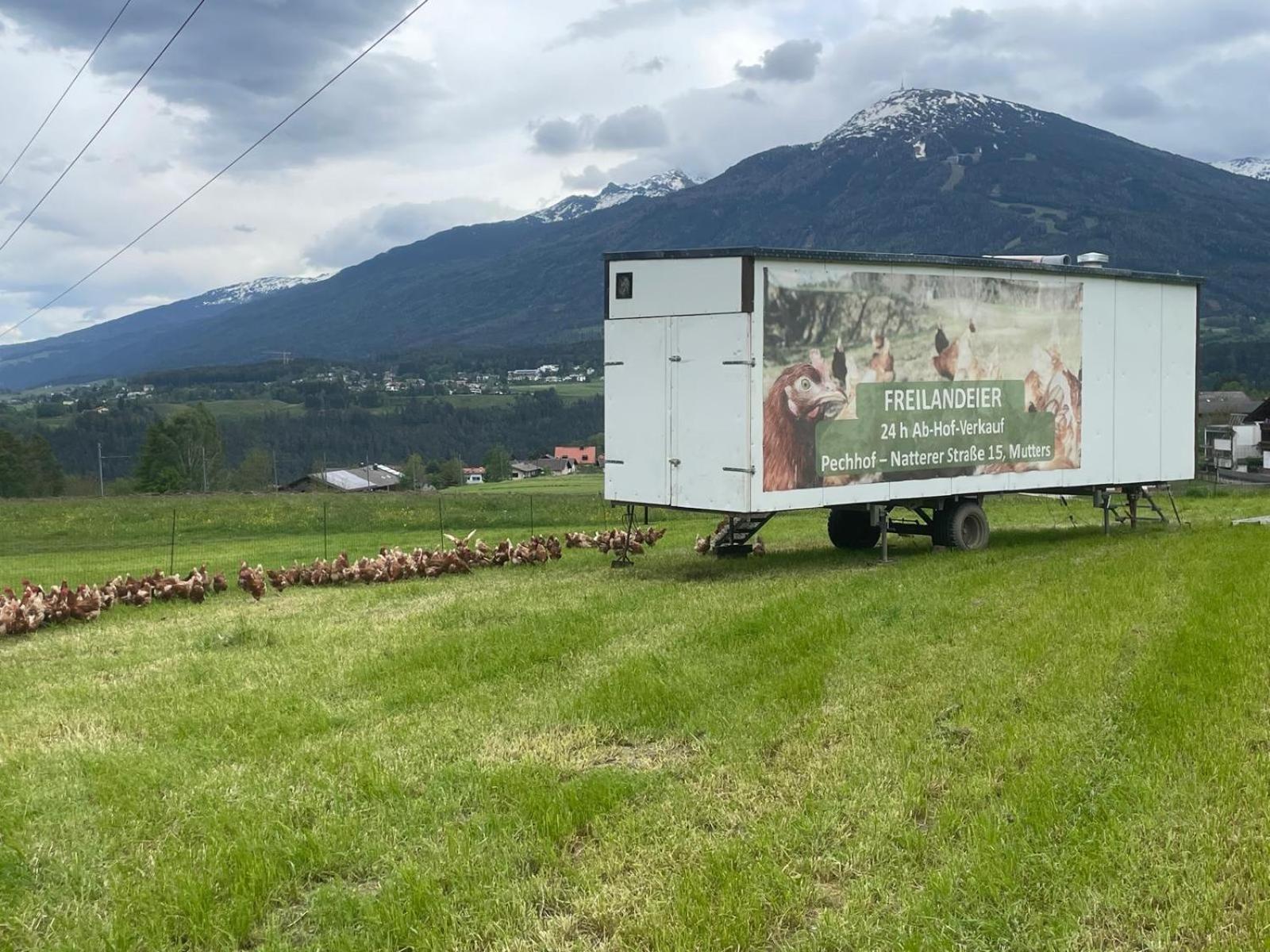 Pechhof Villa Innsbruck Eksteriør bilde